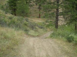 On other side of the hill trail heads down, took left (north) fork, Oliver Mtn East Trail 2012-06.